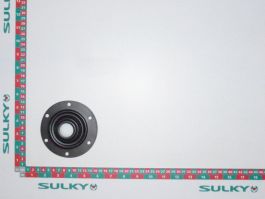 DISC CAP