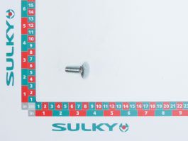 COACH BOLT 10X30 ZN