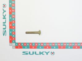LARGE  HEAD SCREW 8X55 ZN