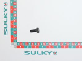 SCREW M10X25