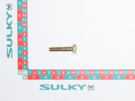Screw