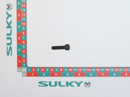 Screw