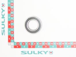 BEARING 6007 RSI - COMPACT/DPAX