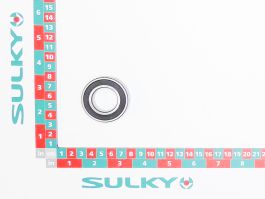 BEARING 6005 2RS1