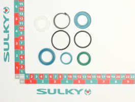 RAM SEALS KIT