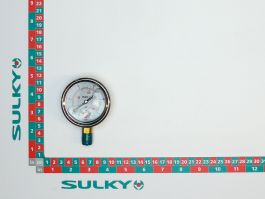 Gauge