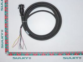 RDS INFORMATION HARNESS