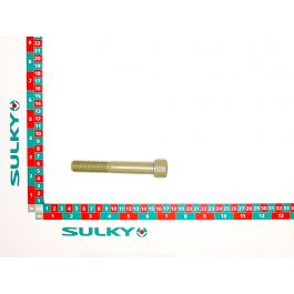 SKT HD CAP SCREW M16X100 CLASS 12-9