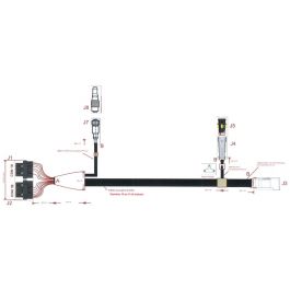 FAISCEAU ECU REPARTITION W